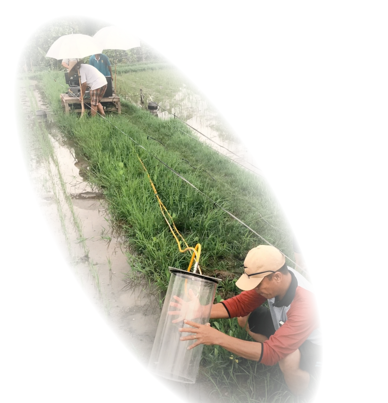 Methane Measurement