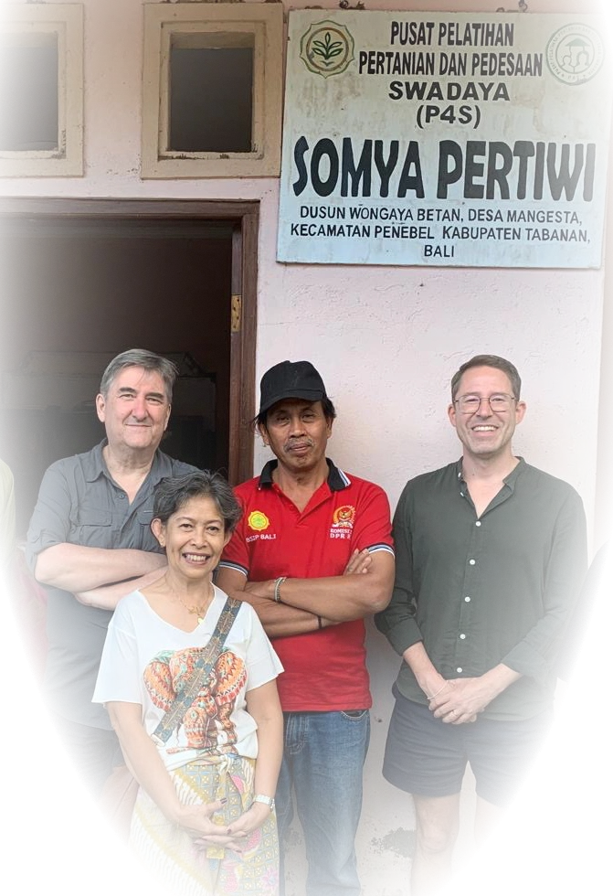 Somya Pertiwi